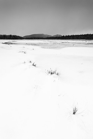 Bass Harbor Marsh Snowfields, (tall crop)
