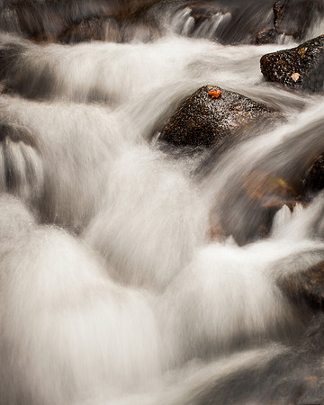 Maple Leaf On Jordan Stream