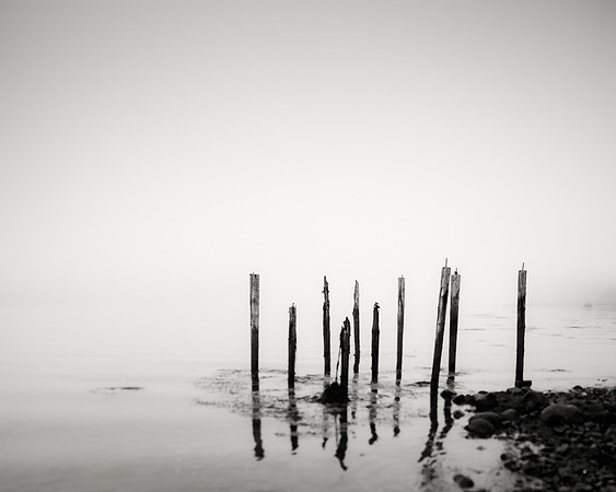 Fog Tide Pickets