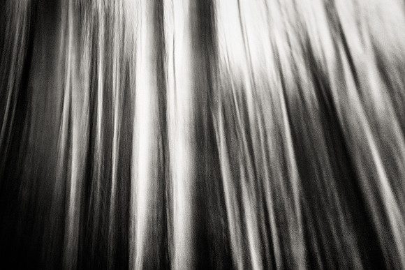 Interplay