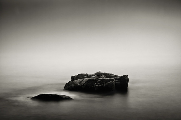 Solace