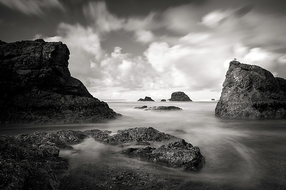 Ruby Beach Gull Rock