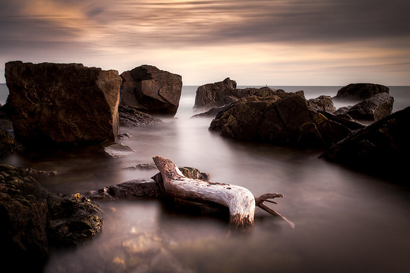 Driftwood 2