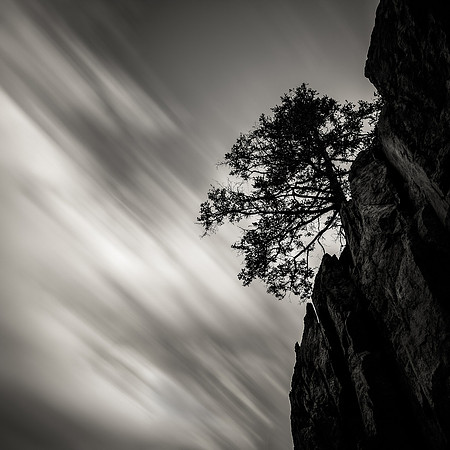 Standing alone on the edge in the wind