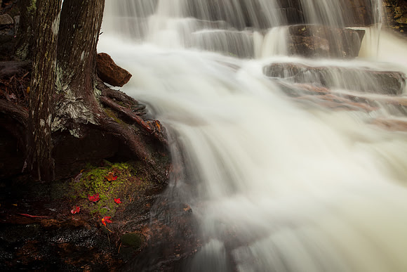 Cadillac Autumn Brook Extract VII