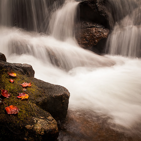 Jordan Stream Acadia Fall Leaves