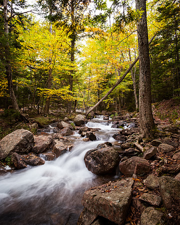 Jordan Stream Acadia Autumn Color