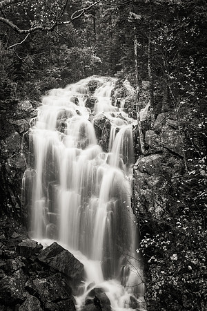 Hadlock Falls at Waterfall Bridge in Acadia