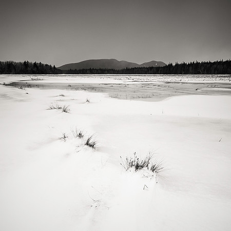 Bass Harbor Marsh Snowfield