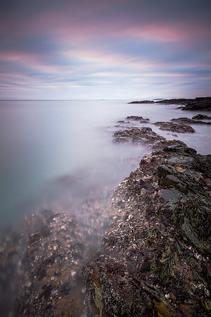 The Bottom of the Sea at Dawn