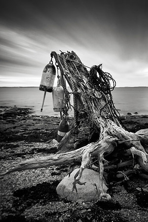 Flotsam