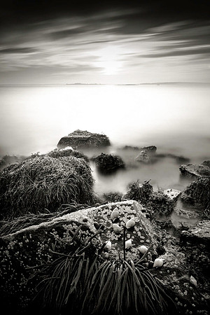 Periwinkle Cove