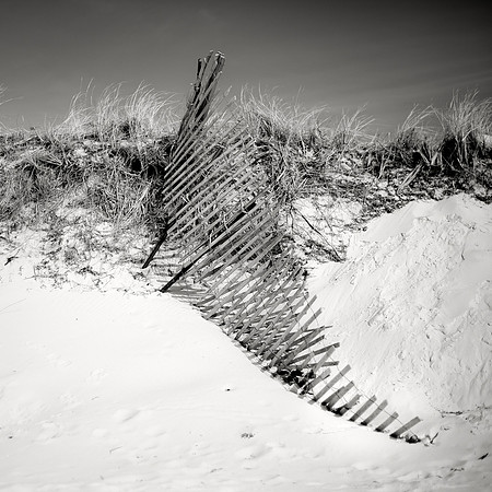 Cape Cod Dune Fence 2