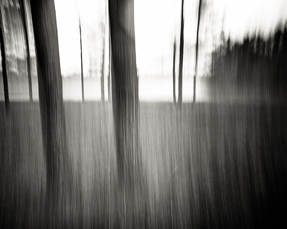 The Rising