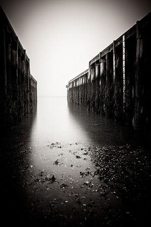 Fog Tide Slips