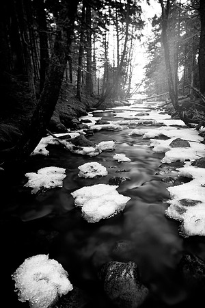 The Low Road