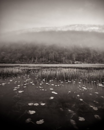 The Tarn in the Fog