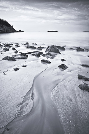 Perception #1 in Black and White