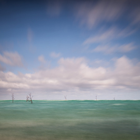 Sea Meadow